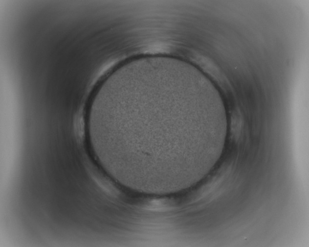 X0000113540584200909250928