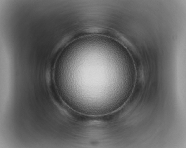 X0000113540586200909250928