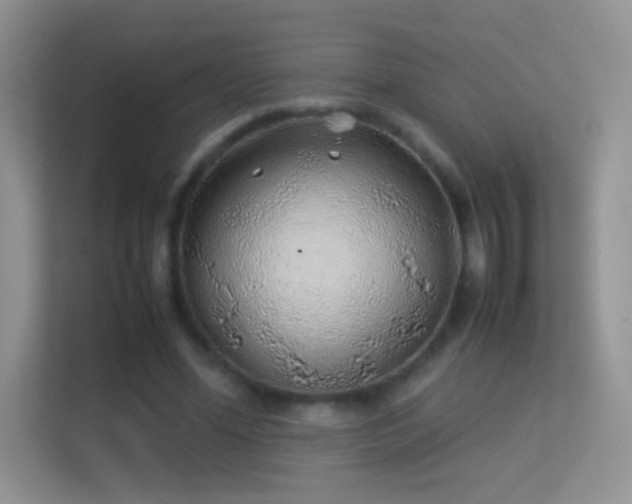 X0000113540588200909250928