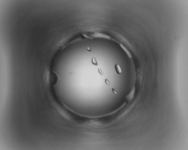 X0000113540589200909250928