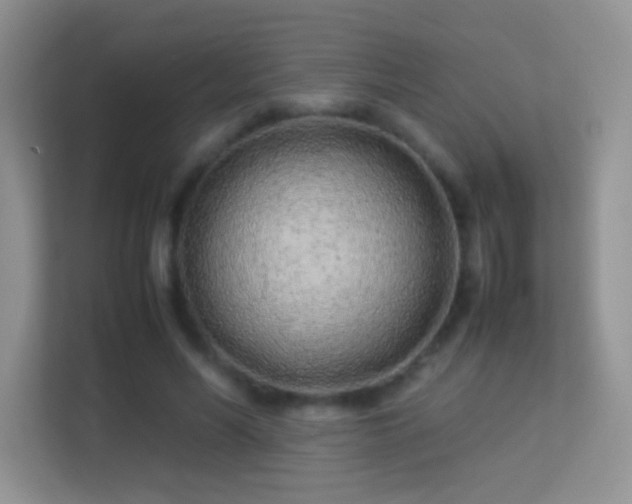 X0000113540590200909250928