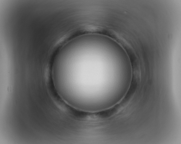 X0000113540591200909250928