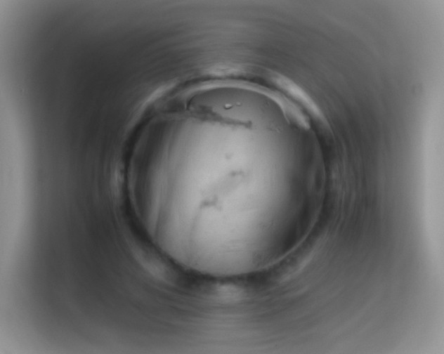 X0000113540592200909250928