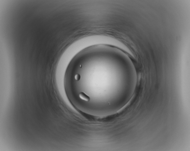 X0000113540593200909250928