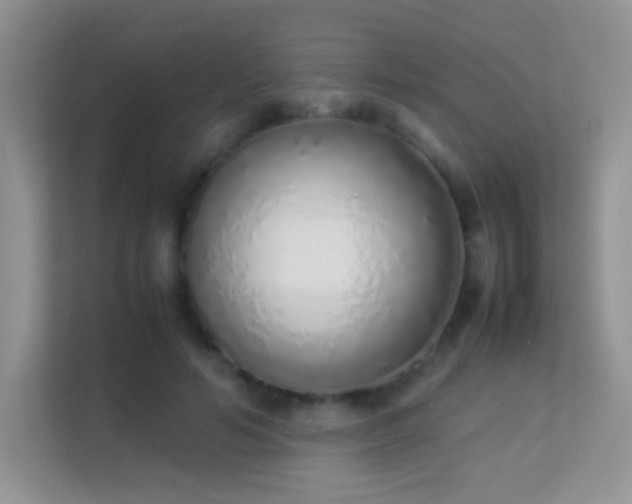 X0000113540594200909250928