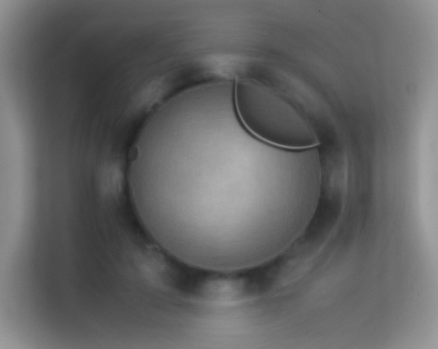 X0000113540595200909250928