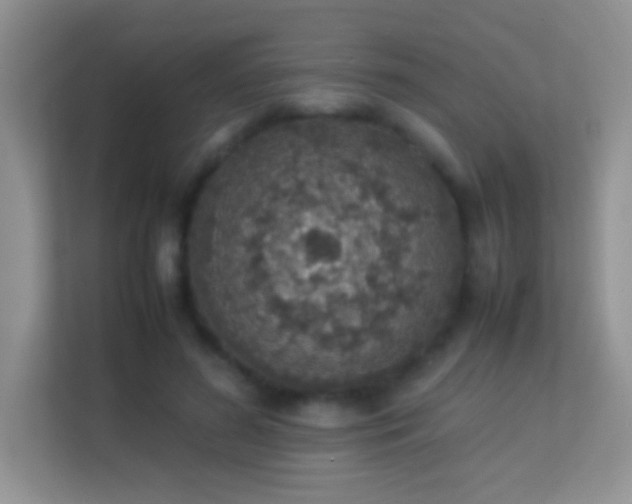 X0000113540596200909250928