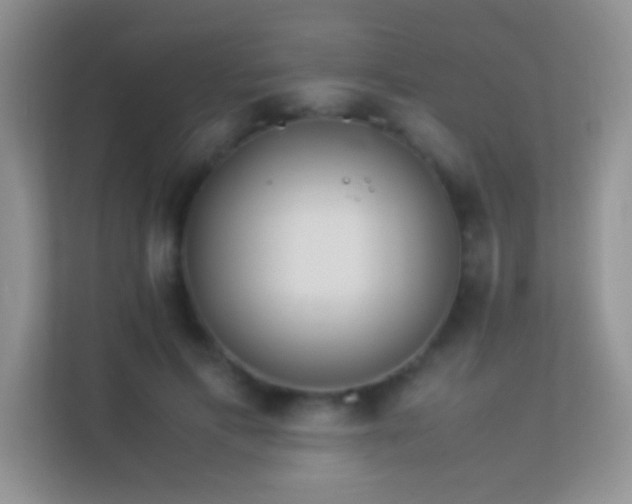 X0000113540597200909250928