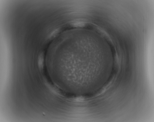 X0000113540600200909250928