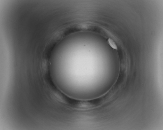 X0000113540605200909250928