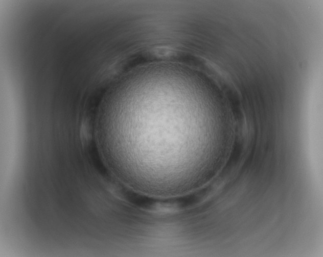 X0000113540606200909250928