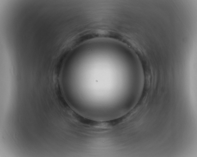 X0000113540609200909250928