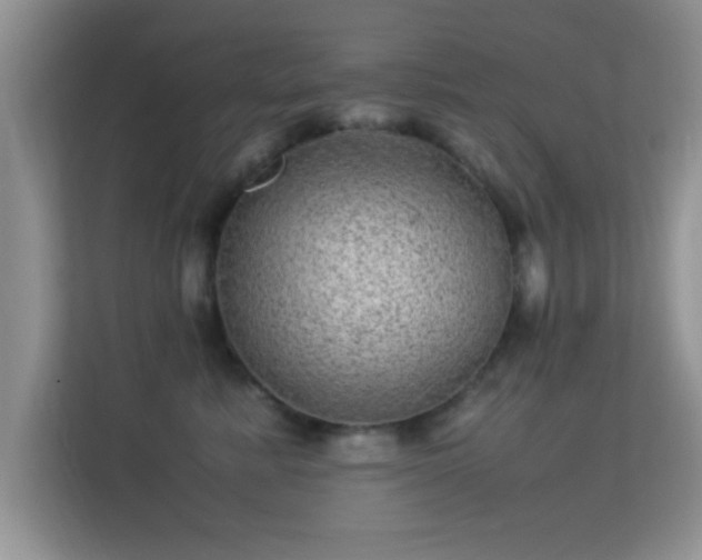 X0000113540619200909250928