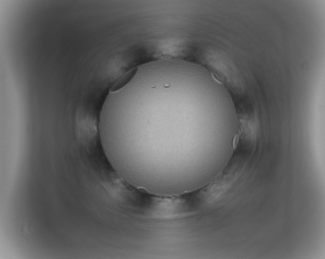 X0000113540621200909250928