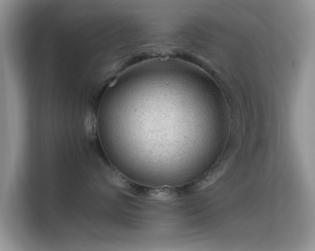 X0000113540624200909250927