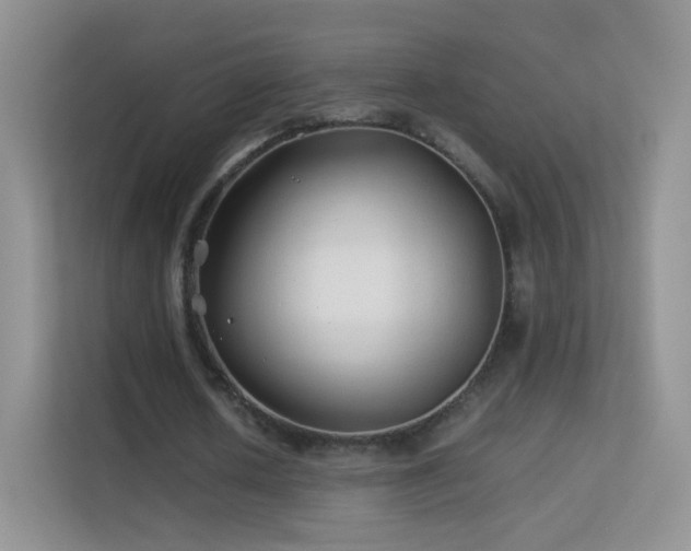 X0000113540626200909250927