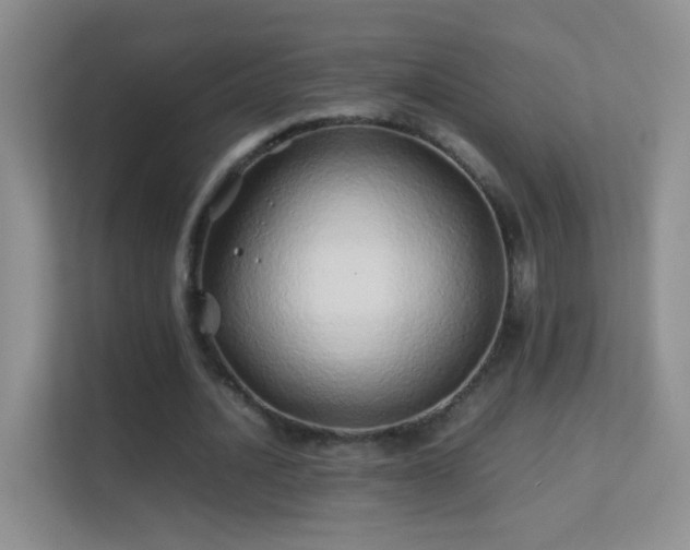 X0000113540628200909250927