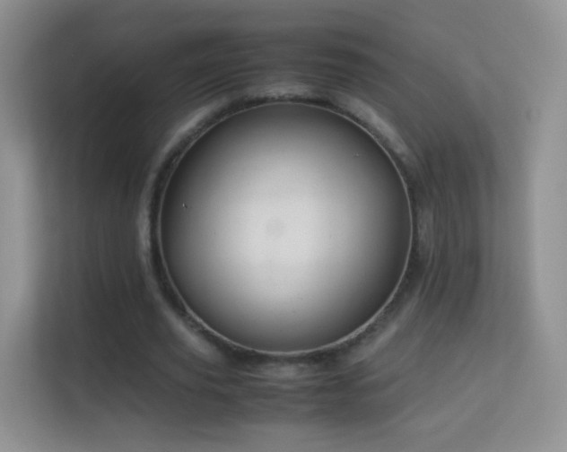 X0000113540629200909250927