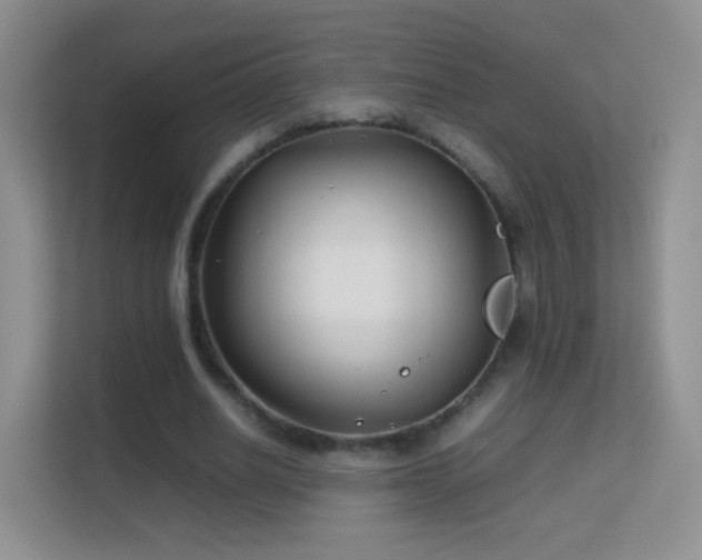 X0000113540630200909250927