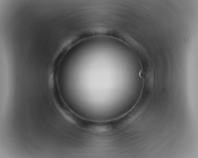 X0000113540638200909250927