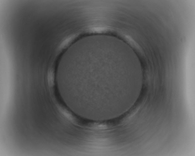 X0000113540640200909250927