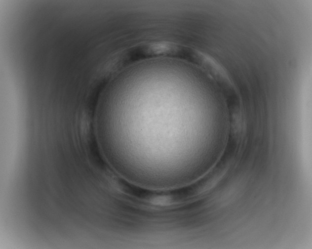 X0000113540653200909250927