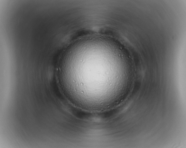 X0000113540656200909250927