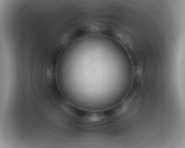 X0000113540663200909250927