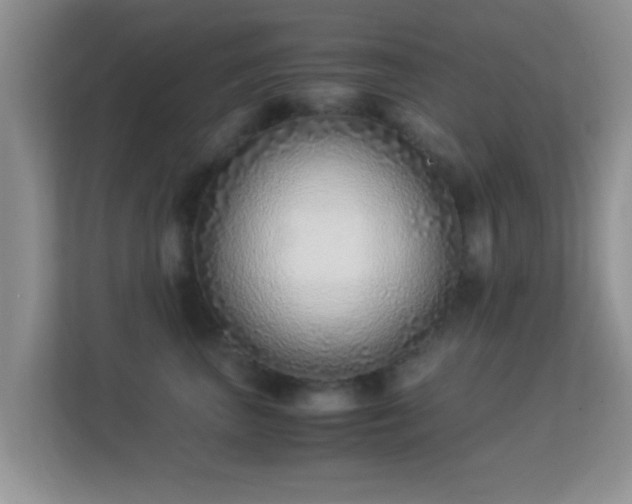 X0000113540667200909250927