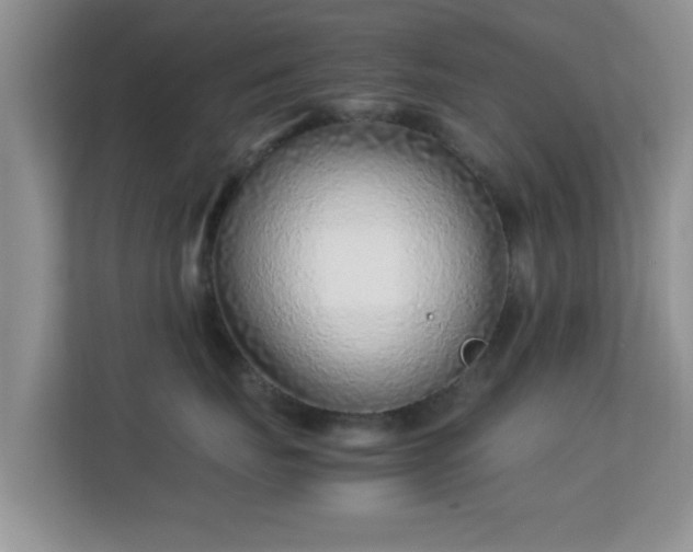 X0000113540671200909250927