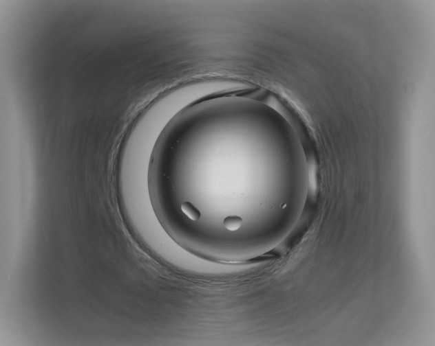 X0000113540673200909250927