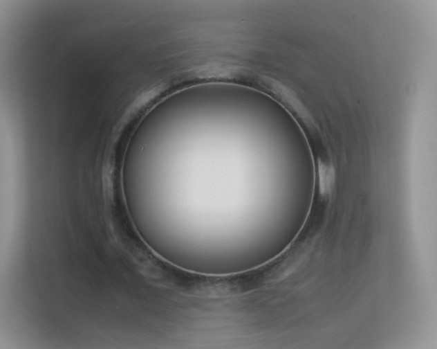 X0000113540675200909250927