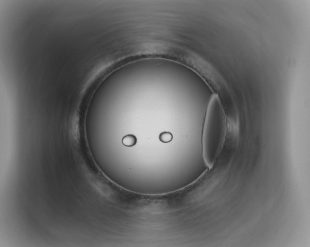 X0000113540676200909250927