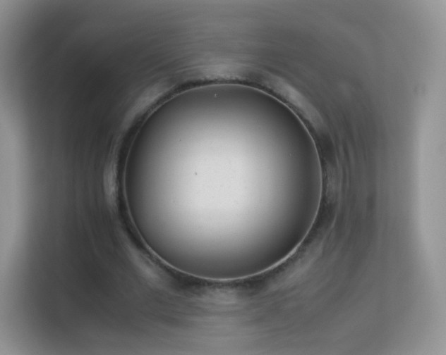 X0000113540677200909250927