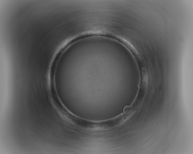 X0000113540678200909250927