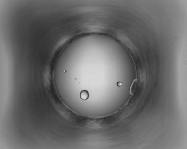 X0000113540680200909250927