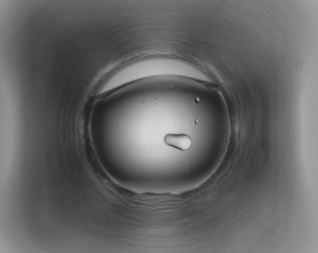 X0000113540684200909250927