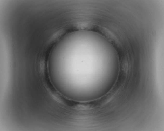 X0000113540690200909250926