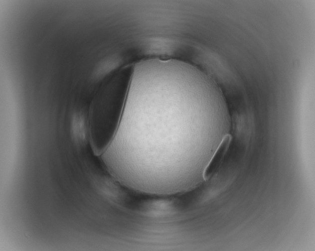 X0000113540692200909250926