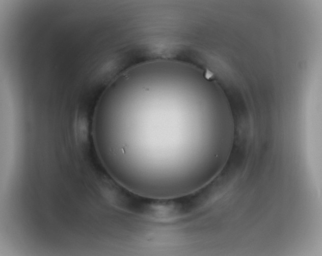 X0000113540693200909250926