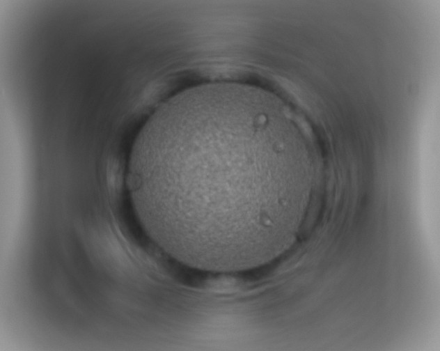 X0000113540695200909250926