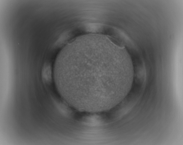 X0000113540696200909250926