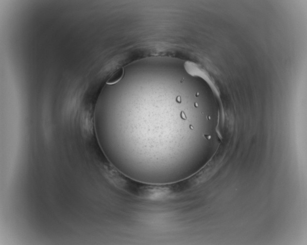 X0000113540719200909250926