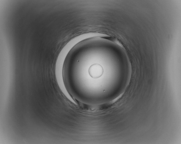 X0000113540720200909250926