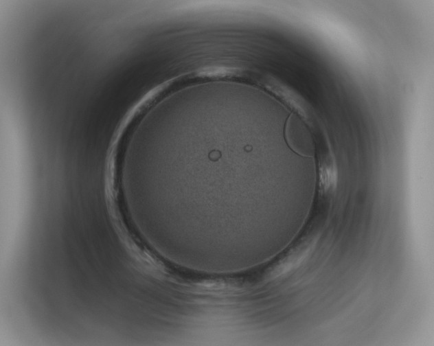 X0000113540724200909250925