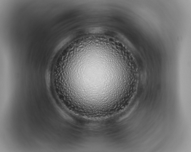 X0000113540725200909250925