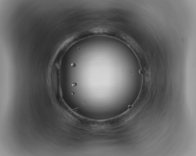 X0000113540727200909250926