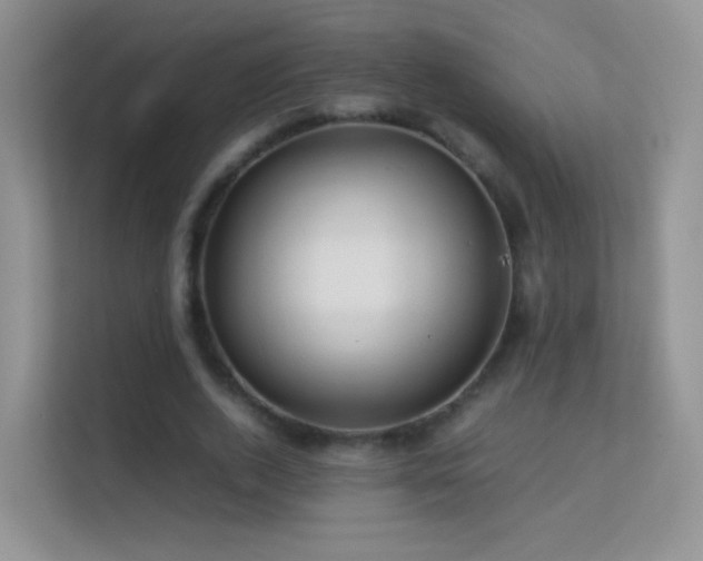 X0000113540728200909250926