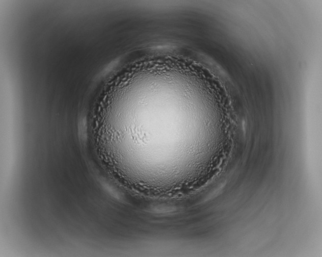 X0000113540729200909250926