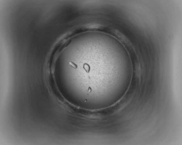 X0000113540731200909250926